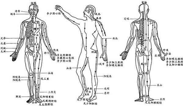 养生重在经络疏通